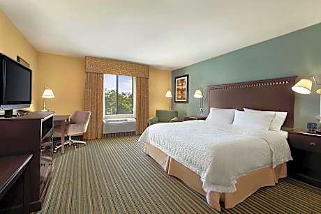 1 KING HEARING ACCESS STUDIO W/SOFABED NS