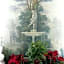 Hotel Eliseo