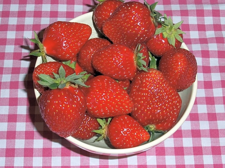 B & B 'Droom in de polder de Suite met prive sauna