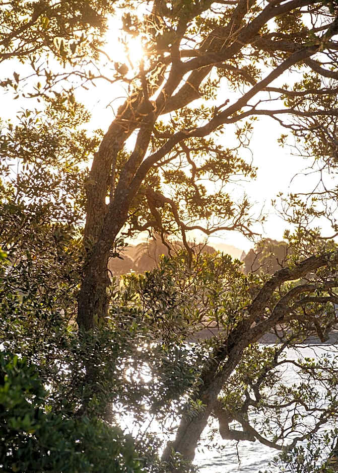 Bow Street Apartments & Cottage