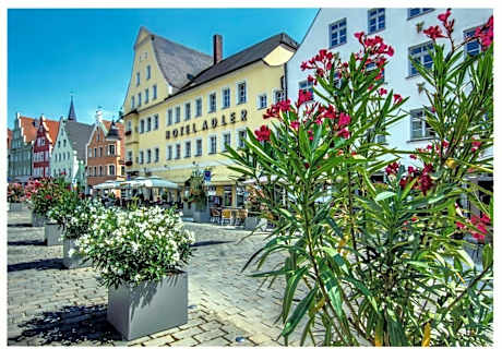 Hotel Adler