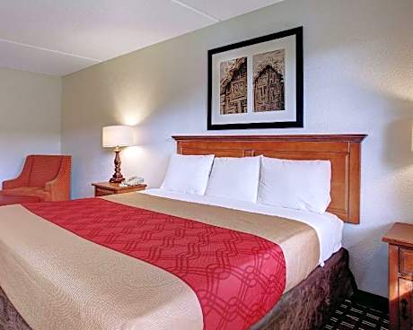 1 King Bed Efficiency Smoking