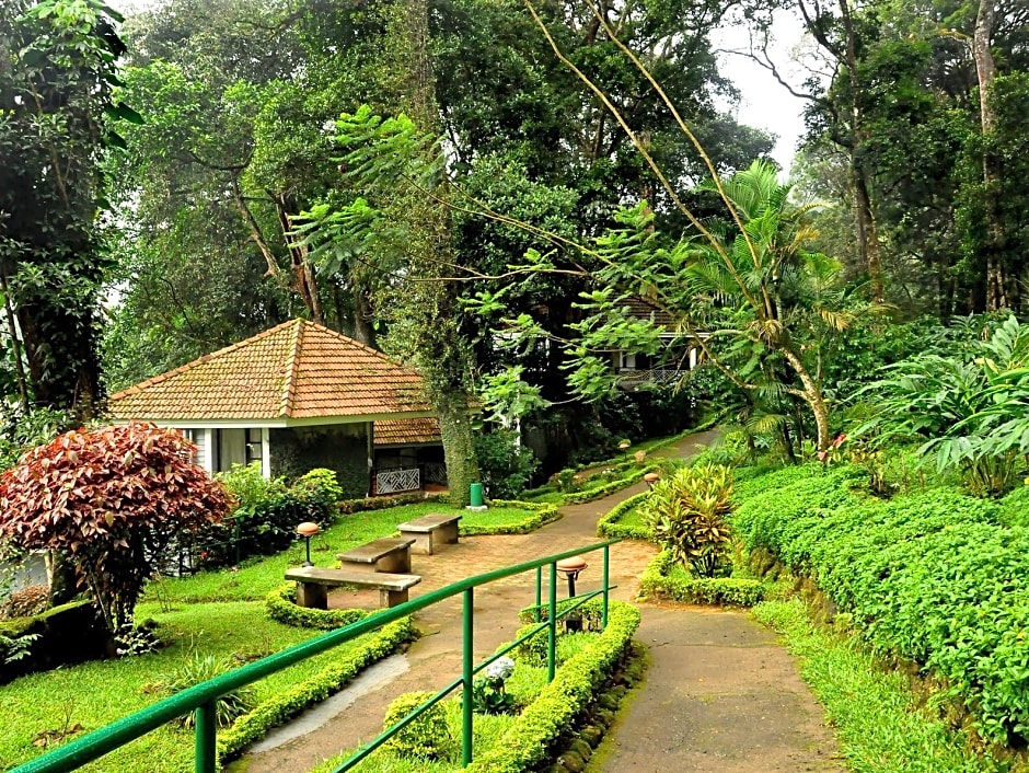 The Tall Trees Munnar