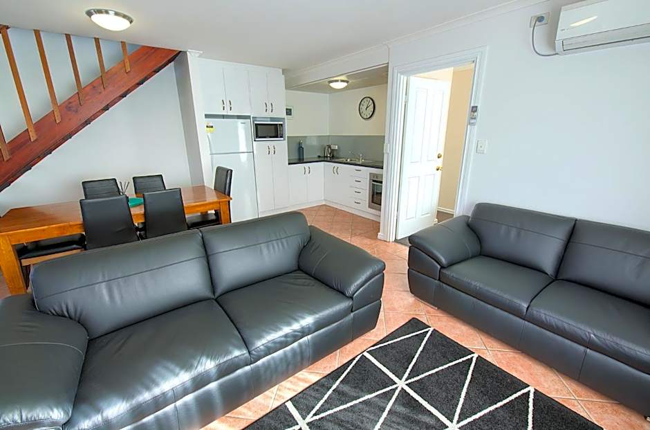 Pelicans Albany Middleton Beach