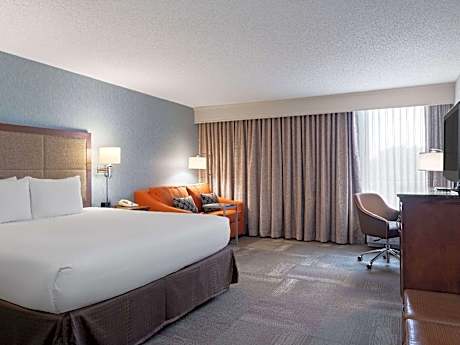 1 King Bed Deluxe Room Non-Smoking