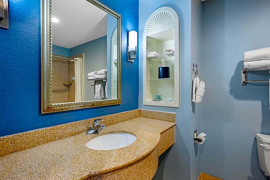 Best Western South Plains Inn & Suites