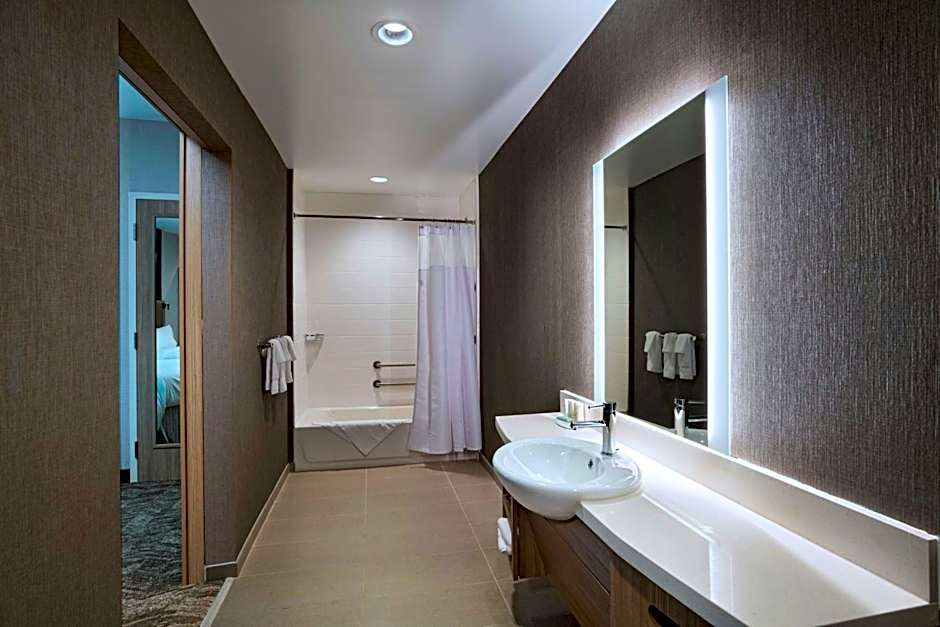 SpringHill Suites by Marriott Austin North