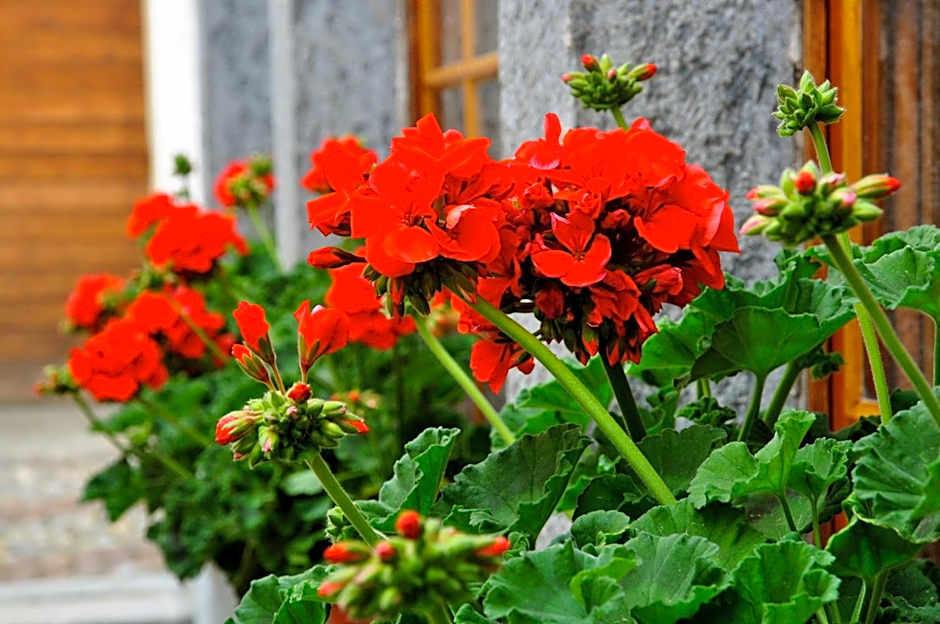 Poschiavo Suisse Hotel