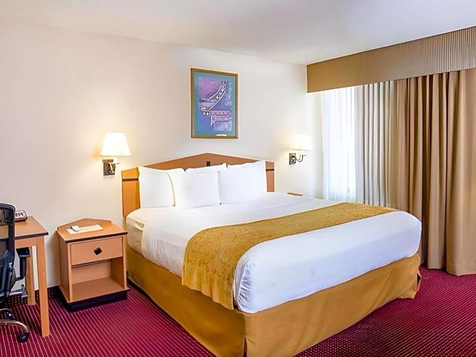 AmericInn by Wyndham Denver Airport