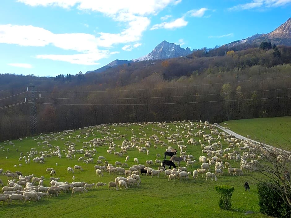 B&B La casa di Loretta