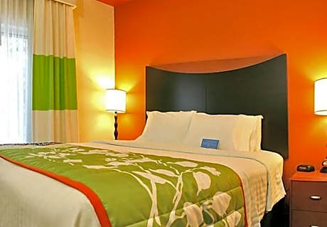 Suite, 1 King Bed with Sofa bed (1 King Bed and 1 Double Sofa Bed)