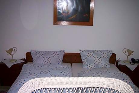 Double or Twin Room with Shower