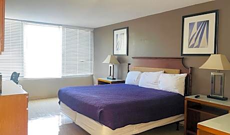 Deluxe King Suite