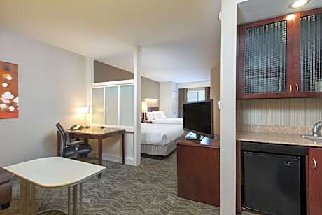 Queen Suite with Sofa Bed and Roll-in Shower - Mobility and Hearing Accessible