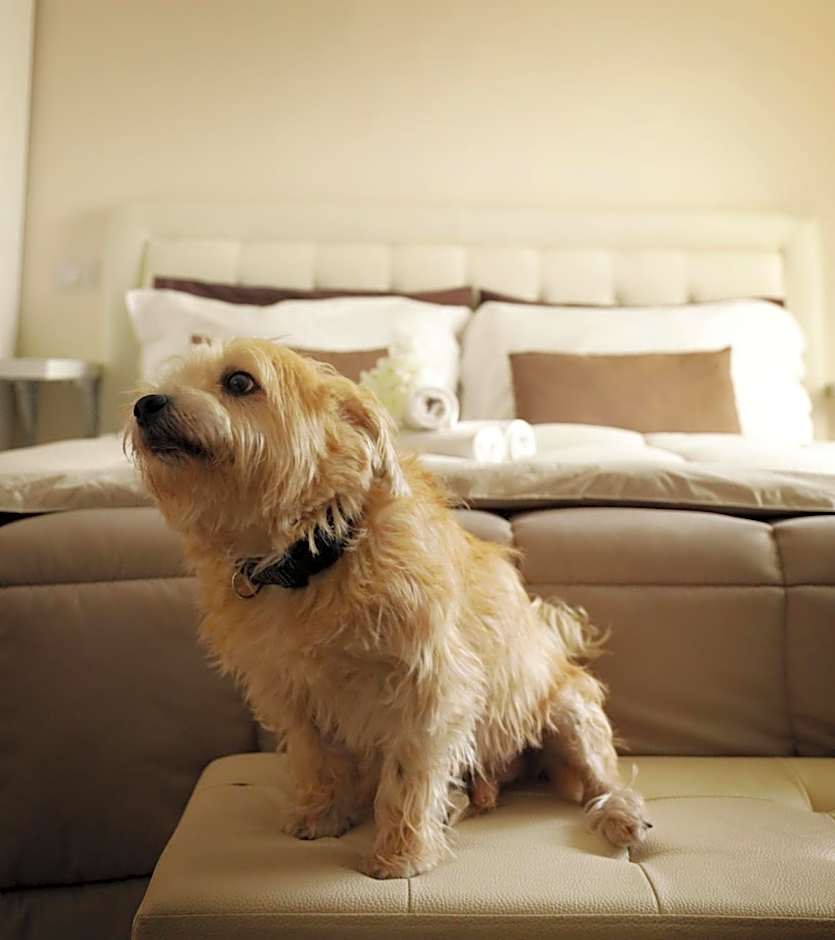 Pompeii Ruins De Charme B&B