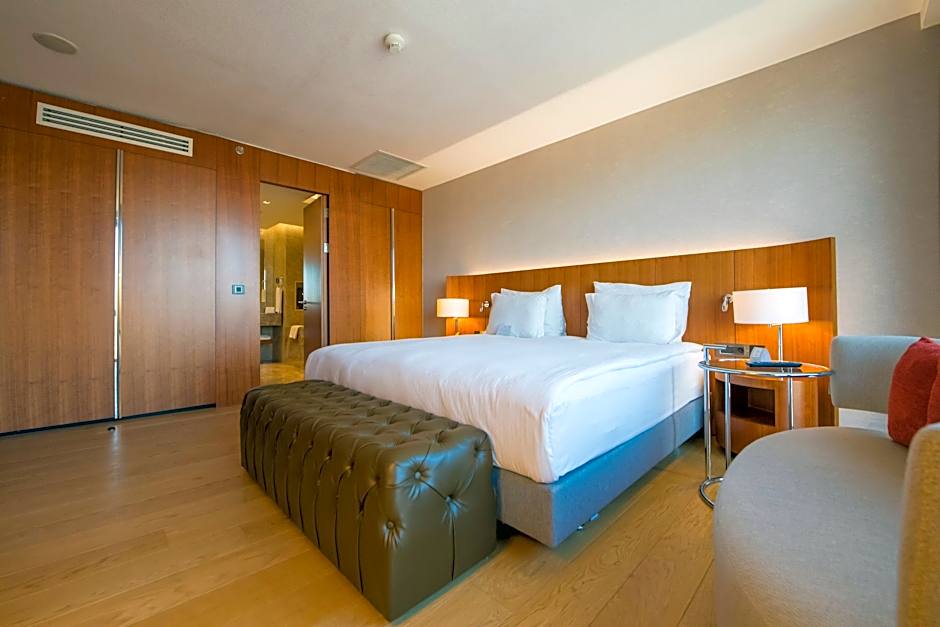 Crowne Plaza Kayseri By IHG