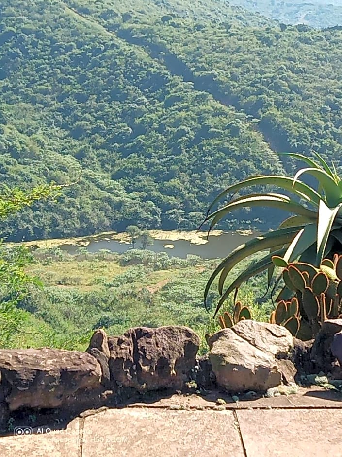 Leopards and Louries Bush Lodge