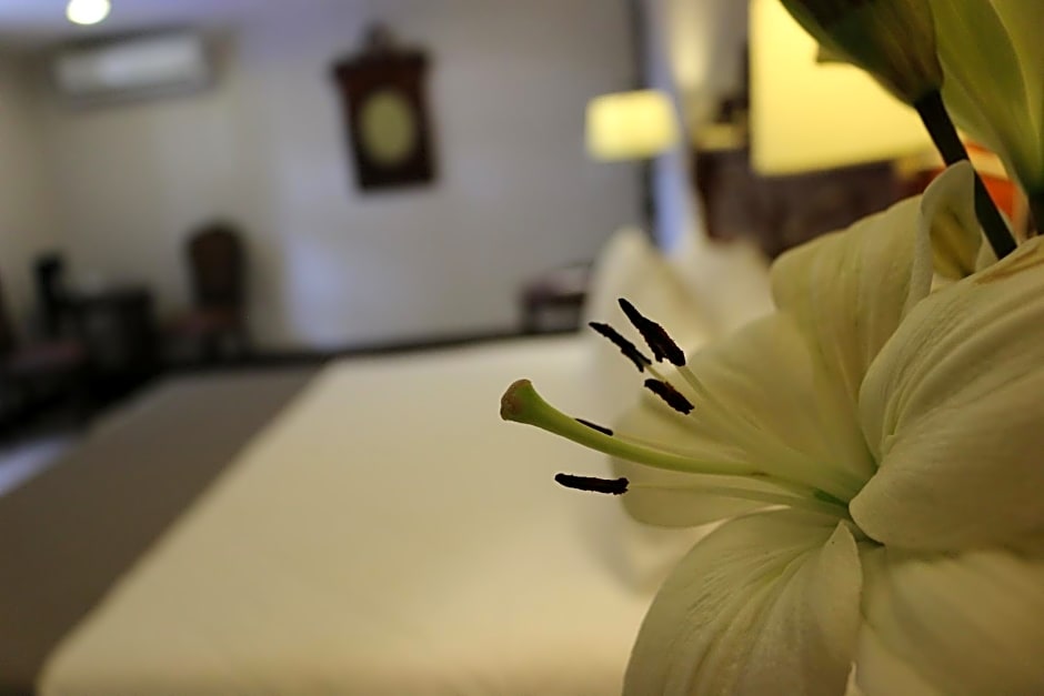 Hotel Villa Tequila