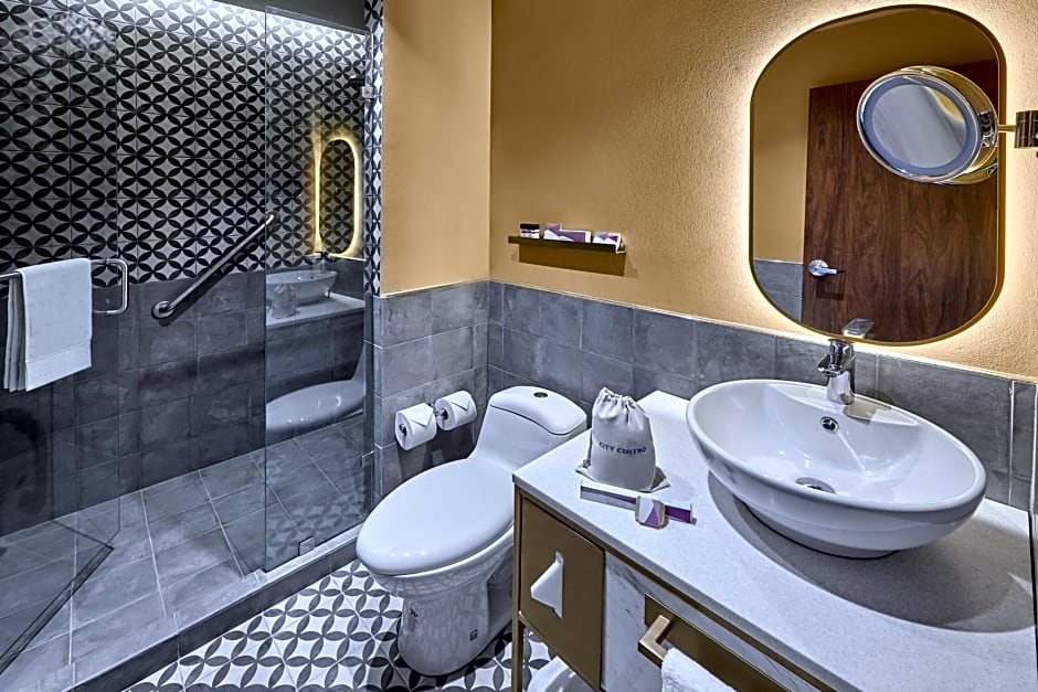 City Centro by Marriott San Luis Potosi