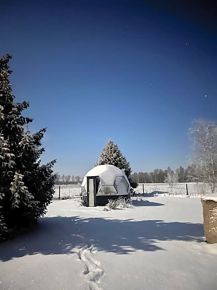 Peetri talu klaaskuplid Haapsalu lähedal