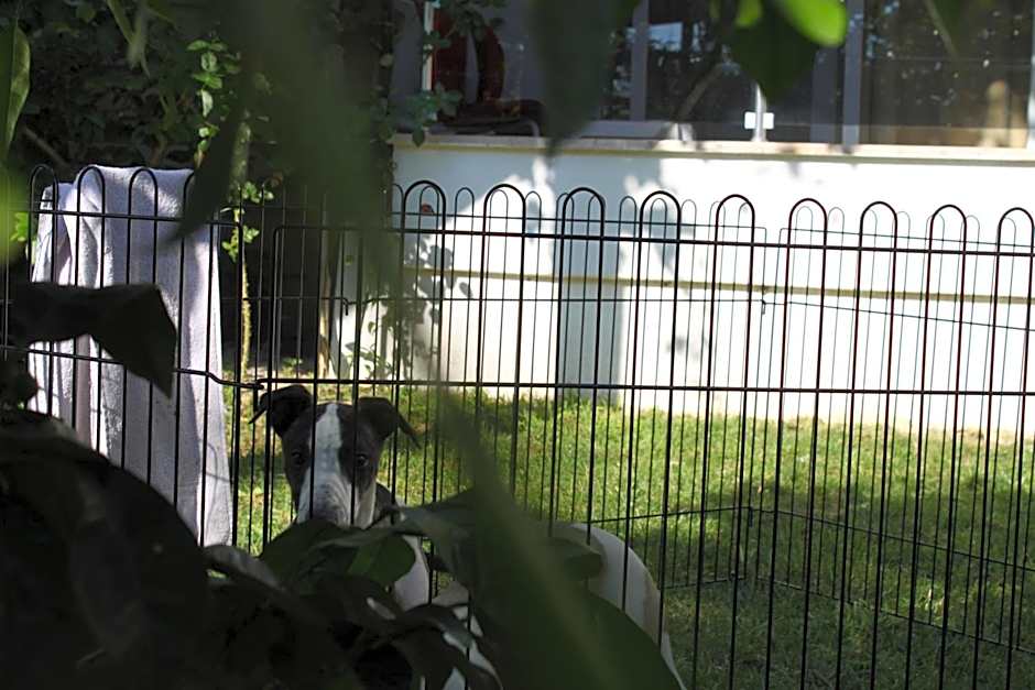 Aloria Garden Hotel