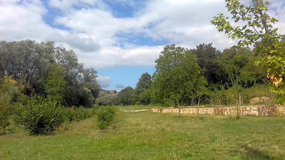 Aux vignes