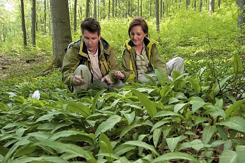 Hotel Landgasthof Rüppel
