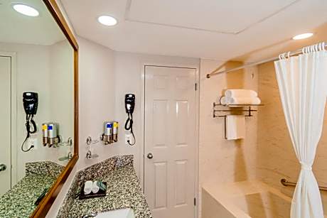 SUITE SUPERIOR 2 BEDROOMS