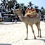 Kenya Bay Beach Hotel