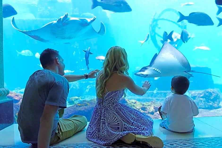 The Beach at Atlantis