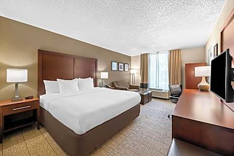 One-Bedroom King Suite with Sofa Bed - Non-Smoking