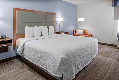 1 King Bed Nonsmoking