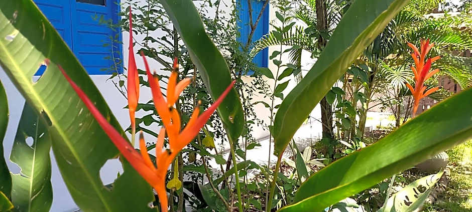 Pousada Bem-Viver na Vila de Itaúnas