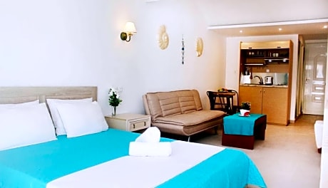 apartment deluxe capacity 4