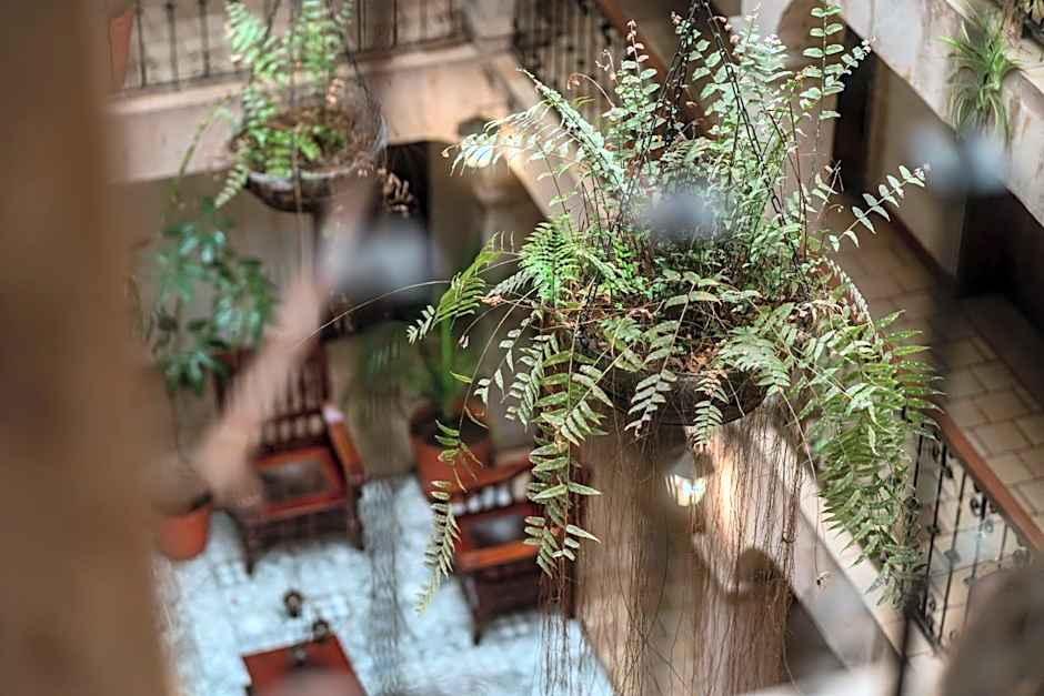 Hotel Don Quijote Plaza - Guadalajara Centro Historico