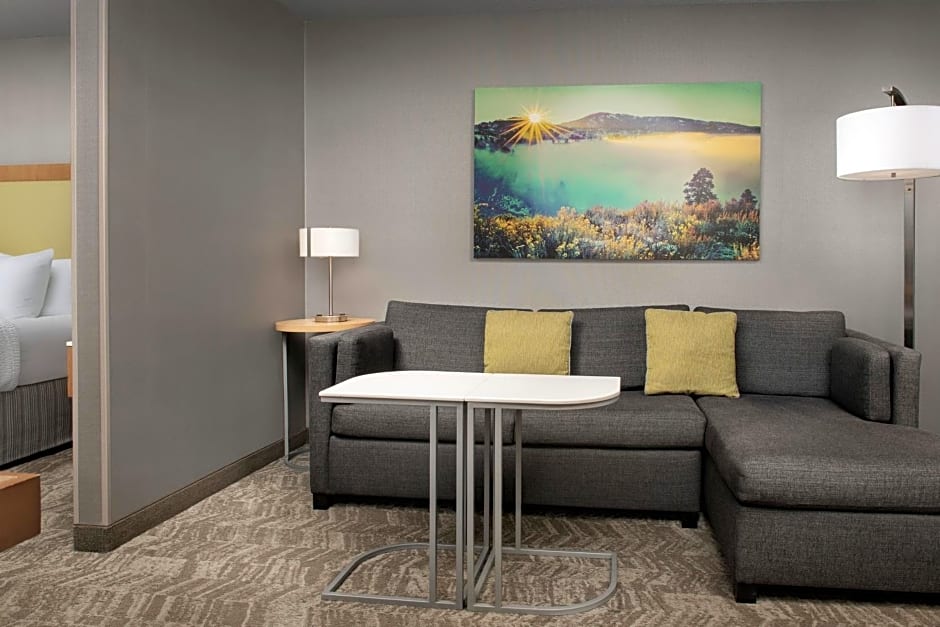 SpringHill Suites by Marriott Boise ParkCenter