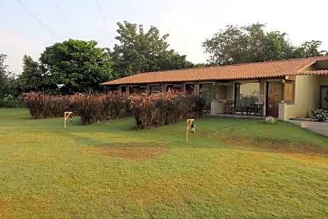 Asiatic Lion Lodge