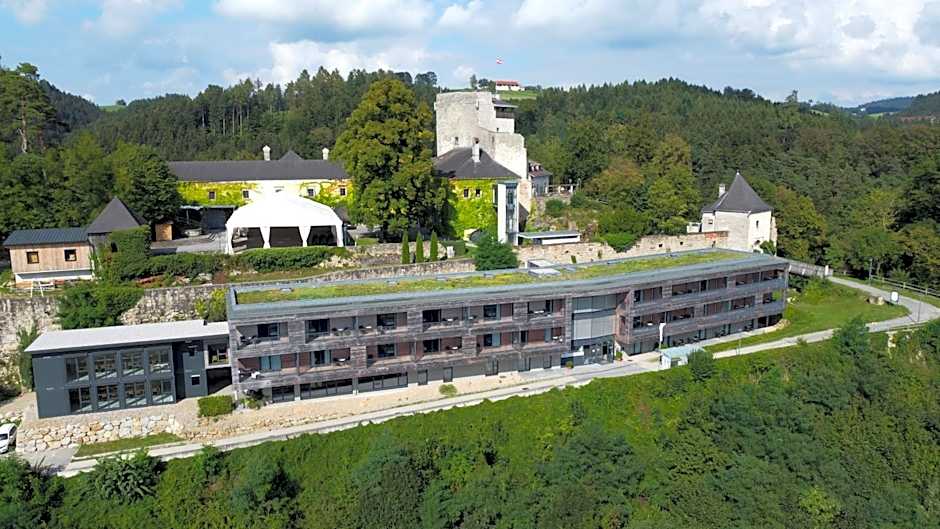 Schatz.Kammer Burg Kreuzen