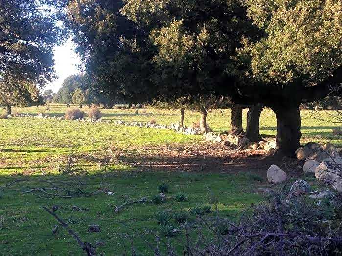 Orgosolo B&B Sardegna