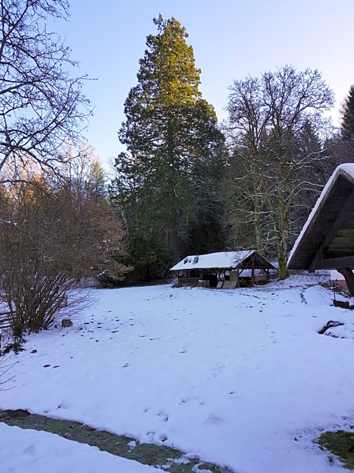 Gut Lauterbad Hotel