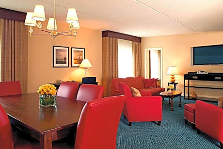 1 Bedroom Suite, 1 King