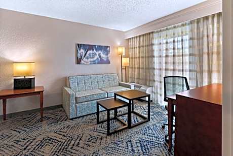 Suite-1 King Bed Non-Smoking Separate Bedroom Sofabed Microwave And Mini-Refrigerator Full Breakfast