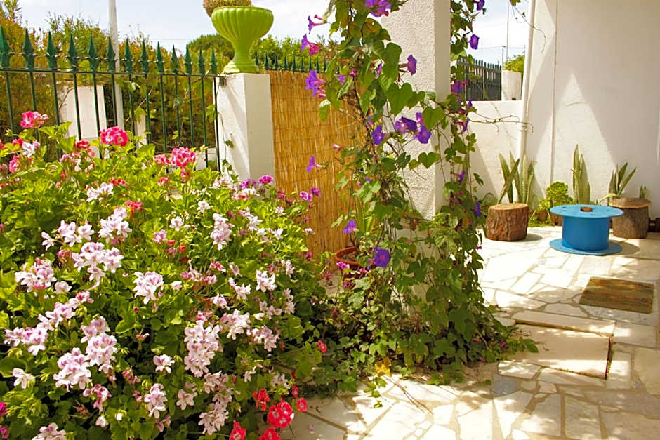 Natural Mystic Hostel