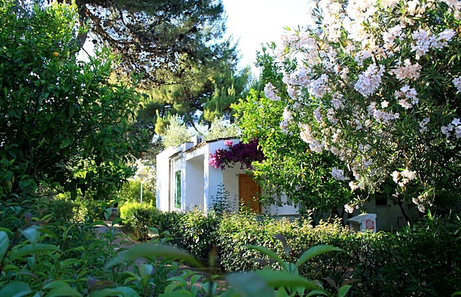 Villaggio Turistico Residence Delfino