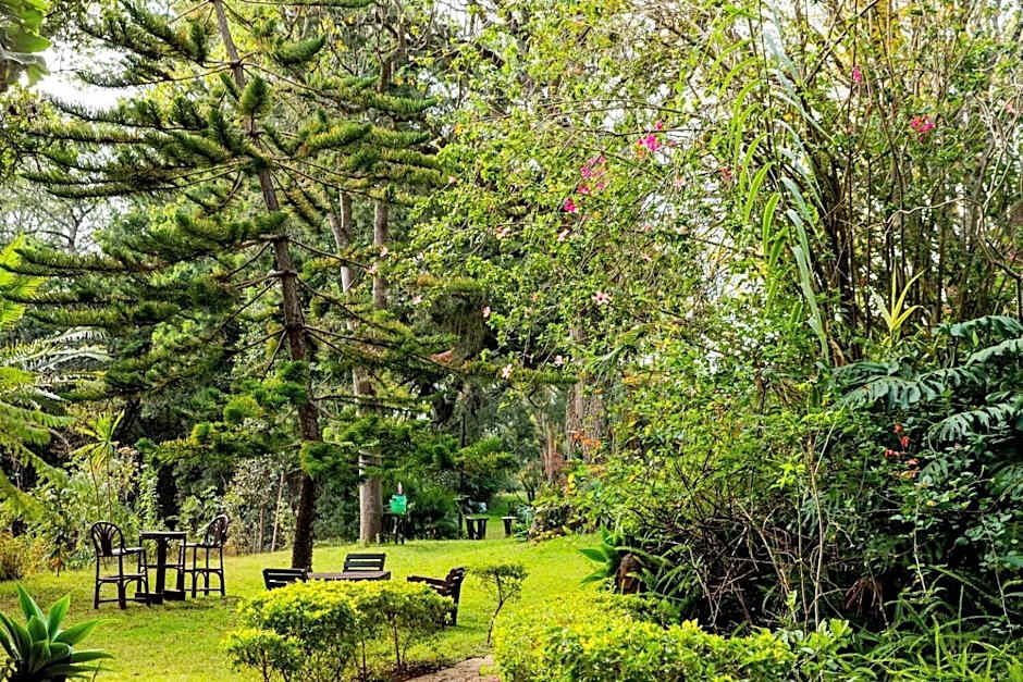 Naro Moru River Lodge