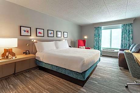 1 King Bed With Sofabed Nonsmoking