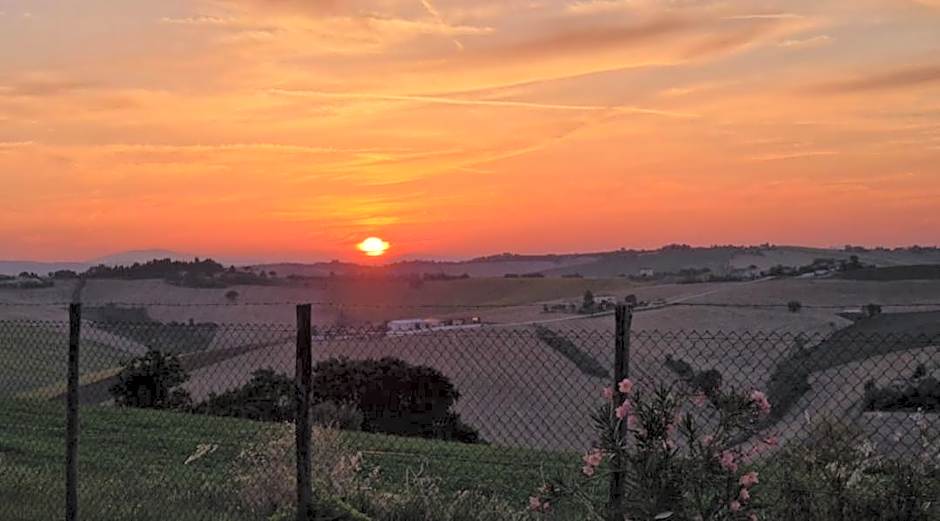 B&B I Pini Di Storaco