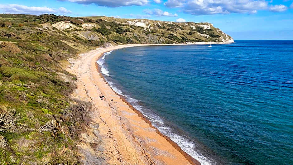 Europa Willow Pitch 29 Creek Caravan Park dog friendly