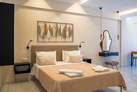 Deluxe Double Room (2 Adults + 1 Child)