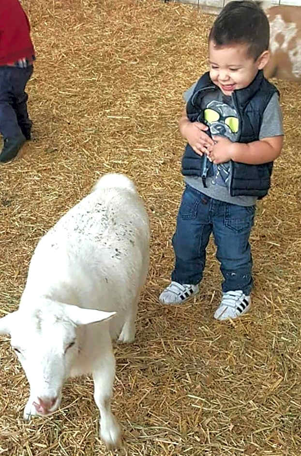 Puerto Nuevo Baja Hotel & Villas